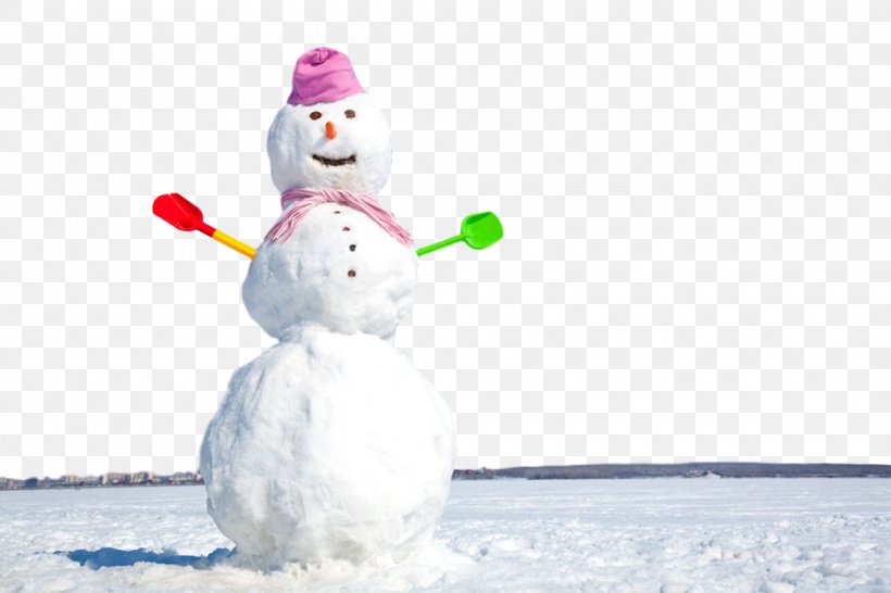 Snowman, PNG, 1000x667px, Snowman, Polar Bear, Snow, Winter Download Free