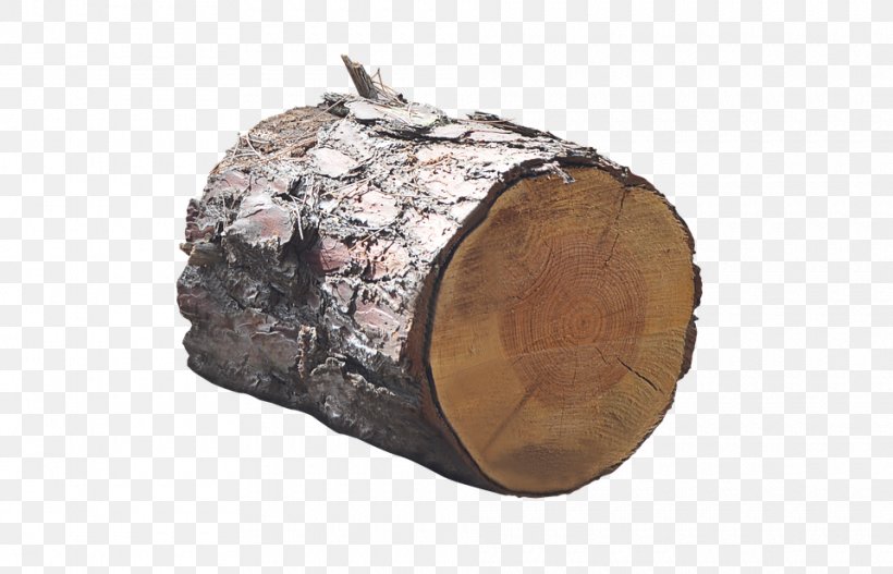 Trunk Tree Wood, PNG, 960x617px, Trunk, Bit, Editing, Firewood, Metal Download Free
