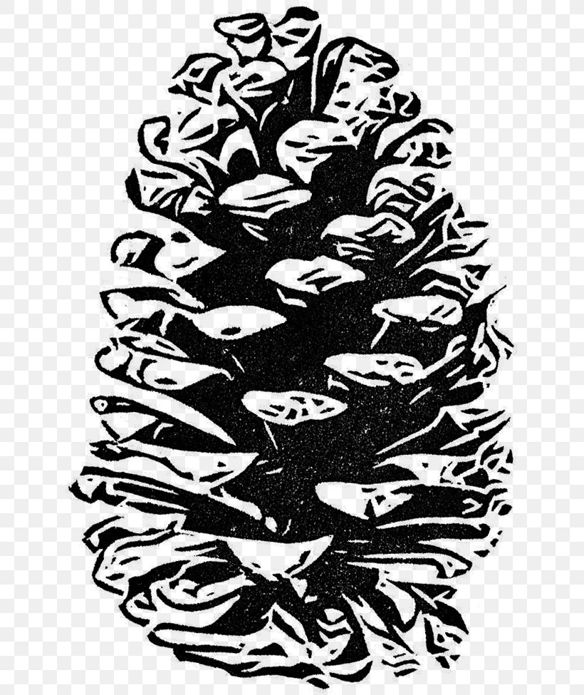 Drawing Art Conifer Cone Pinaceae, PNG, 637x975px, Drawing, Art, Art Museum, Black, Black And White Download Free