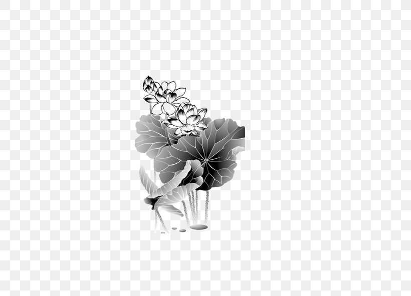 Lotus Nelumbo Nucifera Download, PNG, 591x591px, Lotus, Art, Black And White, Flower, Logo Download Free