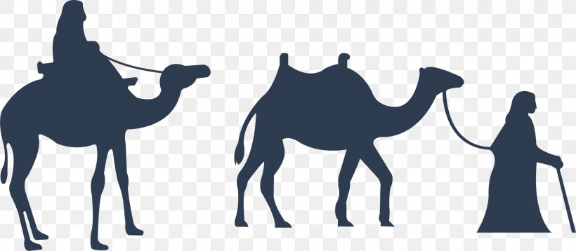 Bactrian Camel Dromedary Drawing Illustration, PNG, 2000x875px, Bactrian Camel, Arabian Camel, Art, Camel, Camel Like Mammal Download Free