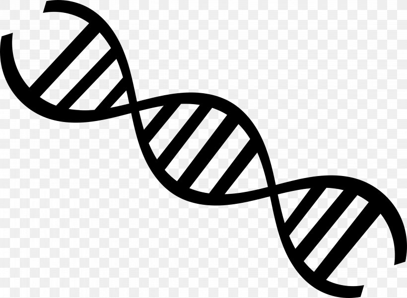 DNA Nucleic Acid Double Helix Genetics Clip Art, PNG, 4493x3296px, Dna, Area, Artwork, Biology, Black And White Download Free