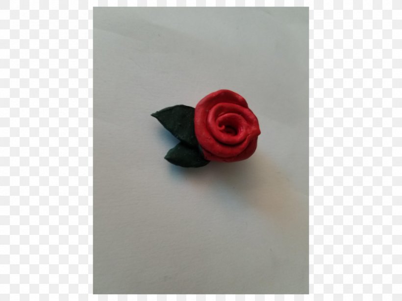 Garden Roses Petal, PNG, 960x720px, Garden Roses, Flower, Garden, Magenta, Petal Download Free