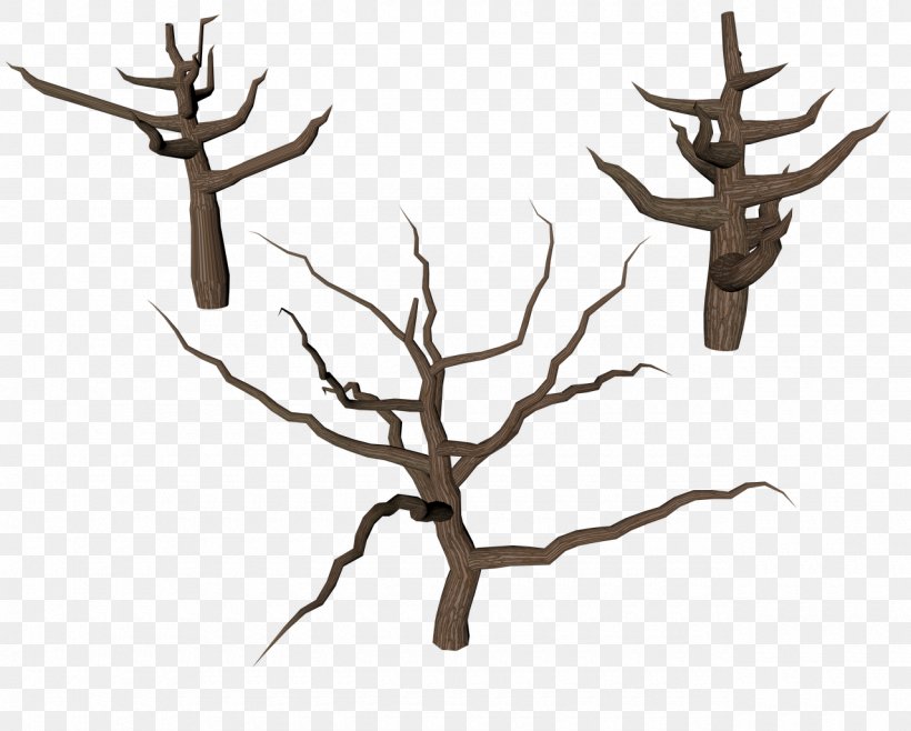Tree Branch Trunk, PNG, 1280x1028px, Tree, Antler, Bark, Birch, Branch Download Free