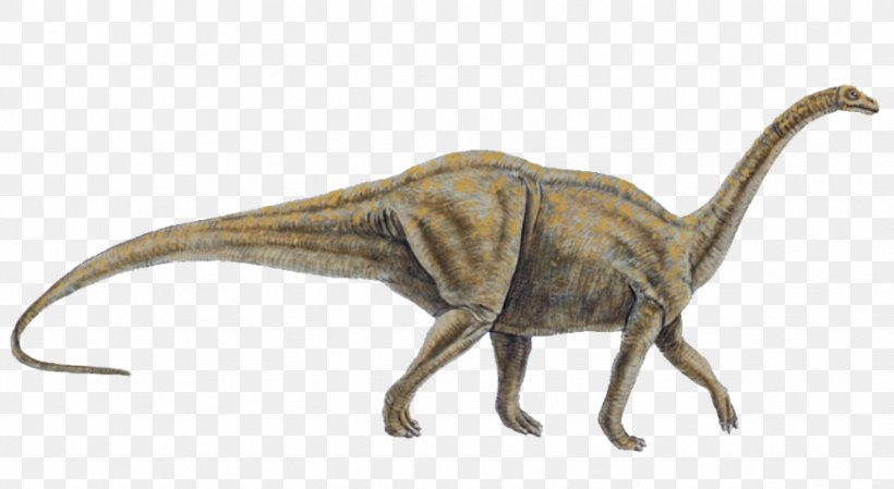 Allosaurus Tyrannosaurus Dinosaur Size Melanorosaurus Velociraptor, PNG, 875x480px, Allosaurus, Animal, Animal Figure, Cretaceous, Dinosaur Download Free