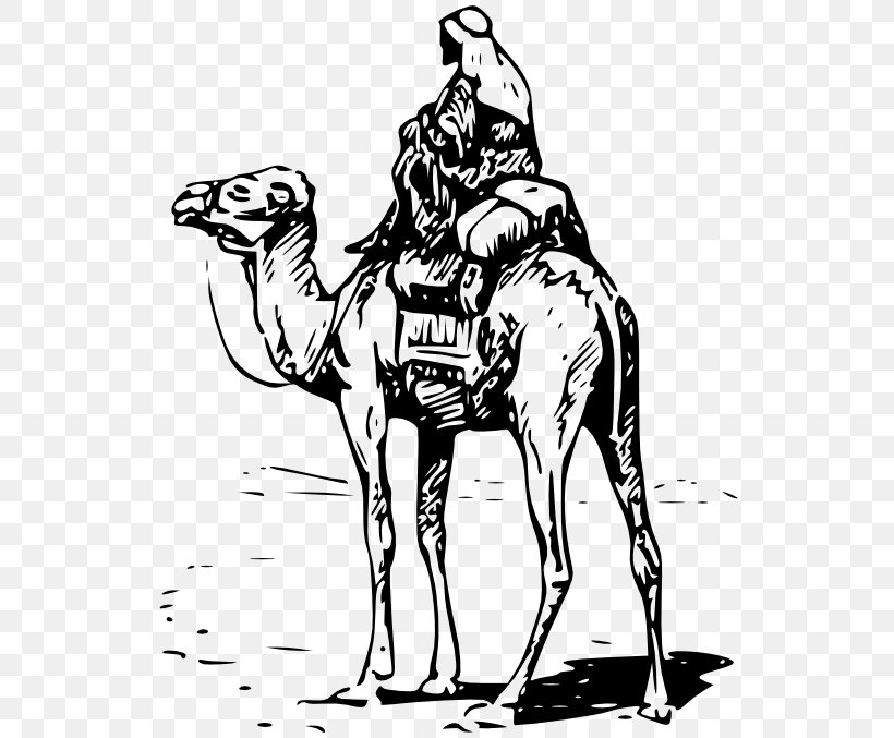 Bactrian Camel Dromedary Silk Road Equestrian Clip Art, PNG, 555x677px, Bactrian Camel, Arabian Camel, Art, Bitcoin, Black And White Download Free