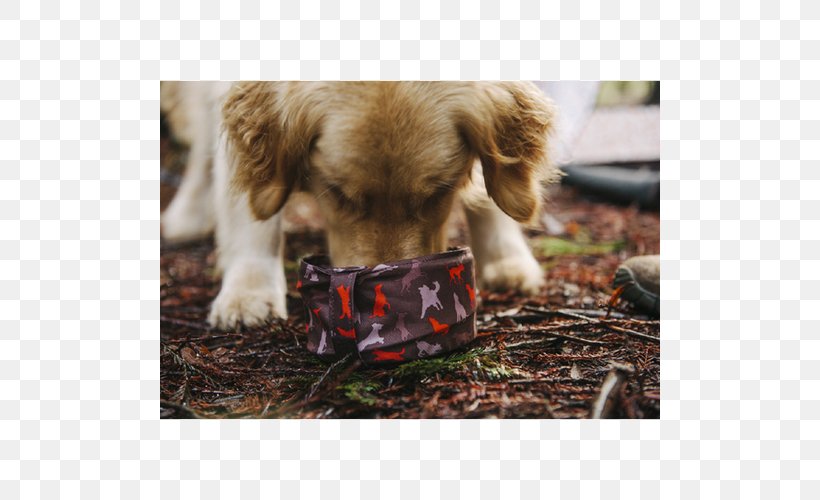 Golden Retriever Dog Breed Puppy Labrador Retriever Companion Dog, PNG, 500x500px, Golden Retriever, Breed, Carnivoran, Companion Dog, Crossbreed Download Free