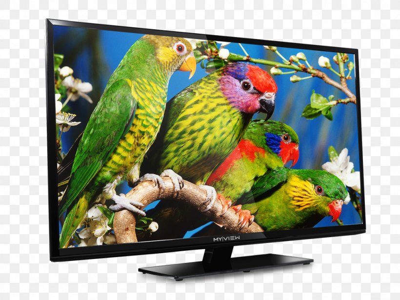 LED-backlit LCD Television Set Desktop Wallpaper, PNG, 1024x768px, 3d Television, Ledbacklit Lcd, Advertising, Computer, Computer Monitor Download Free