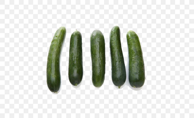 Cucumber Spreewald Gherkins Vegetable Autumn, PNG, 500x500px, Cucumber, Autumn, Cucumber Gourd And Melon Family, Cucumis, Gherkin Download Free