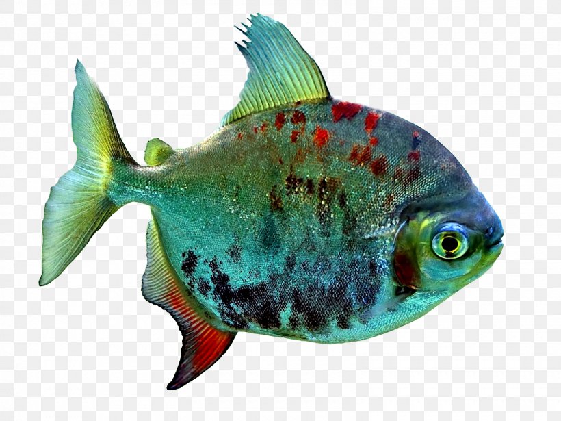 Premium Photo | Piranha fish neon illustration wallpaper image ai generated  art