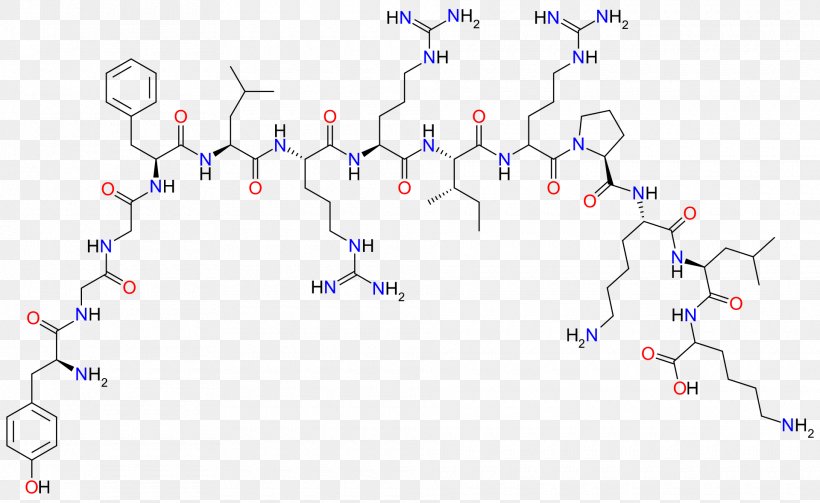 Dynorphin Endorphins Enkephalin Opioid Peptide Beta-Endorphin, PNG, 1920x1180px, Dynorphin, Amino Acid, Area, Betaendorphin, Blue Download Free