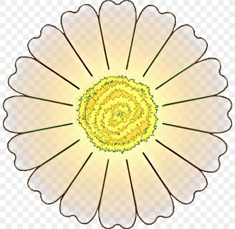 Flowers Background, PNG, 800x800px, Flower, Chamomile, Common Daisy, Cut Flowers, Drawing Download Free