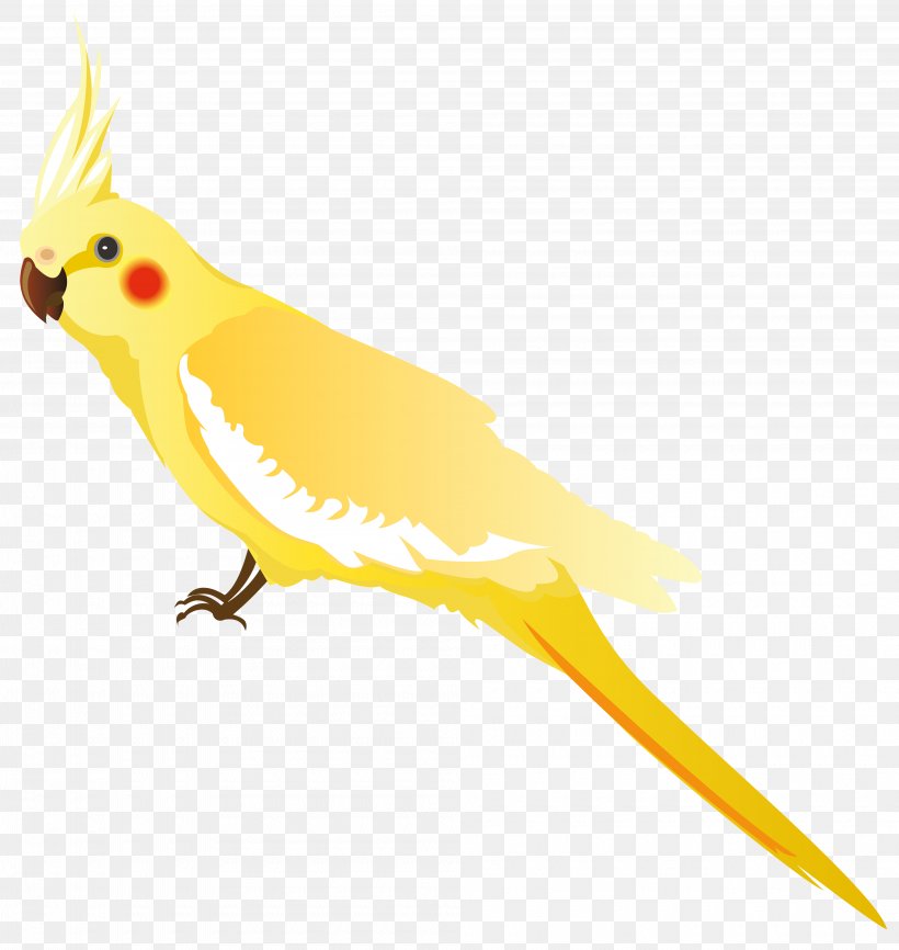 Parrot Bird Budgerigar Cockatiel Clip Art, PNG, 4000x4226px, Parrot, Beak, Bird, Budgerigar, Cockatiel Download Free