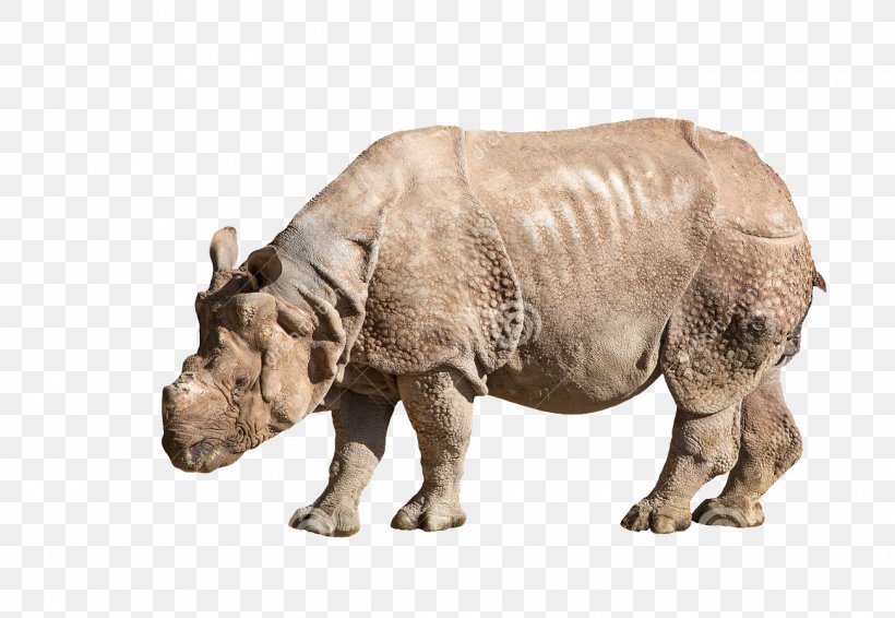Rhinoceros 3D Icon, PNG, 1300x898px, Rhinoceros, Animal, Creativity, Designer, Fauna Download Free