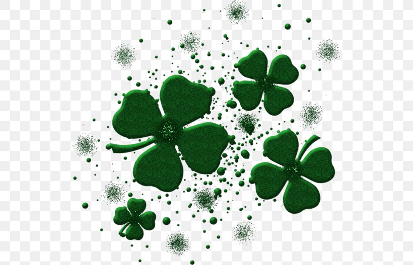 Ireland Irish Whiskey Saint Patricks Day T-shirt Shamrock, PNG, 531x527px, Watercolor, Cartoon, Flower, Frame, Heart Download Free