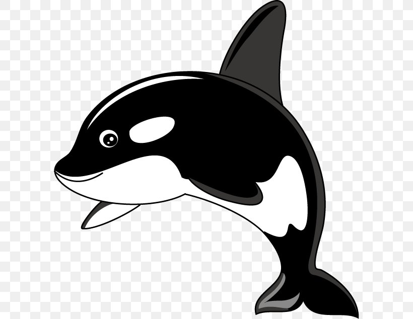 Killer Whale Humpback Whale Clip Art, PNG, 606x634px, Killer Whale, Black, Black And White, Blog, Blue Whale Download Free