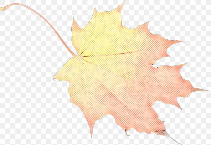 Maple Leaf, PNG, 3101x2136px, Maple Leaf, Autumn, Black Maple, Deciduous, Flower Download Free