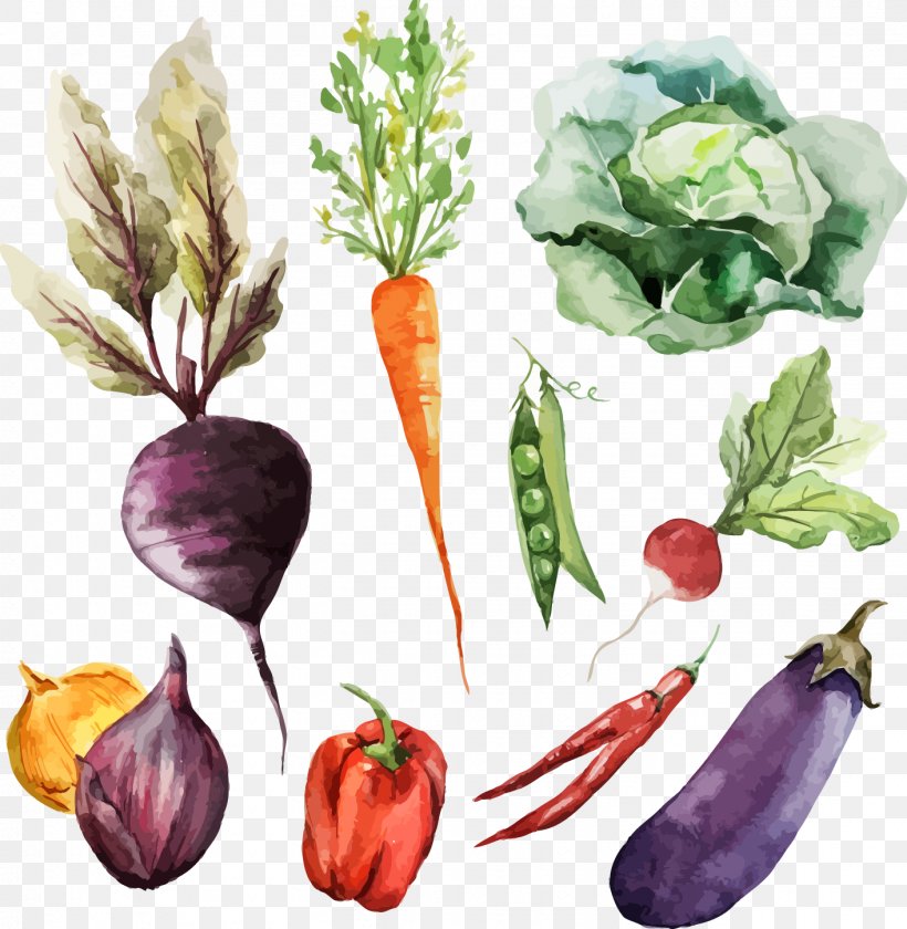 Watercolor Painting Vegetable Food, PNG, 1413x1449px, Watercolor Painting, Art, Carrot, Diet Food, Drawing Download Free