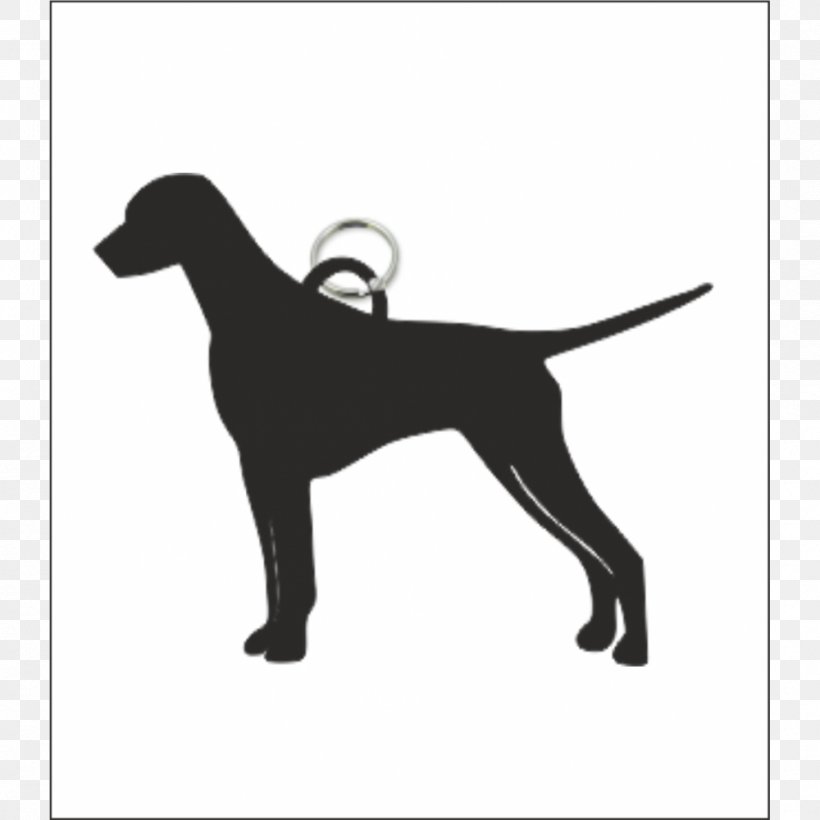 Boxer American Pit Bull Terrier Miniature Schnauzer, PNG, 1000x1000px, Boxer, American Pit Bull Terrier, Black, Carnivoran, Chihuahua Download Free