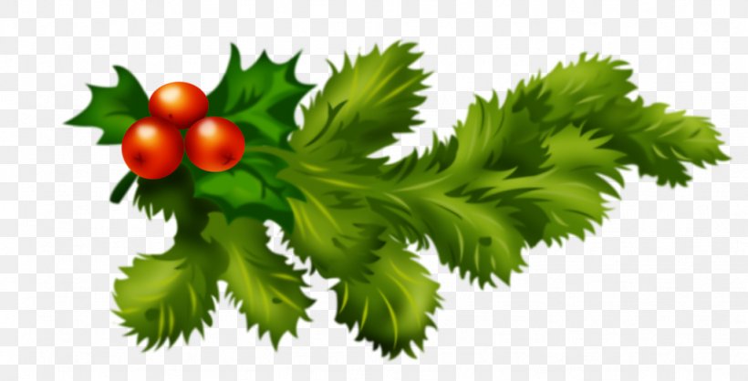 Christmas Clip Art, PNG, 1024x522px, Christmas, Branch, Christmas Plants, Food, Fruit Download Free