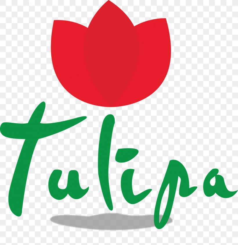 Tulipa Restaurante Pará Dish Customer, PNG, 955x987px, Restaurant, Area, Boa Vista, Brand, Customer Download Free