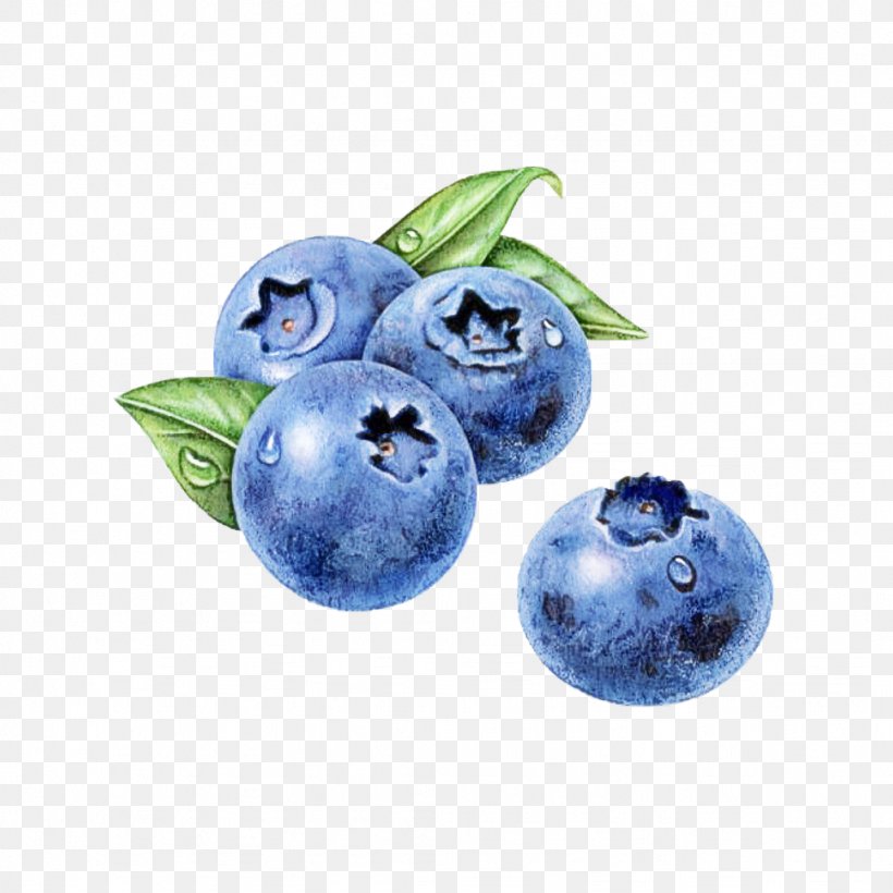 Berry Blueberry Blue Bilberry Fruit, PNG, 1024x1024px, Berry, Bilberry, Blue, Blueberry, Food Download Free