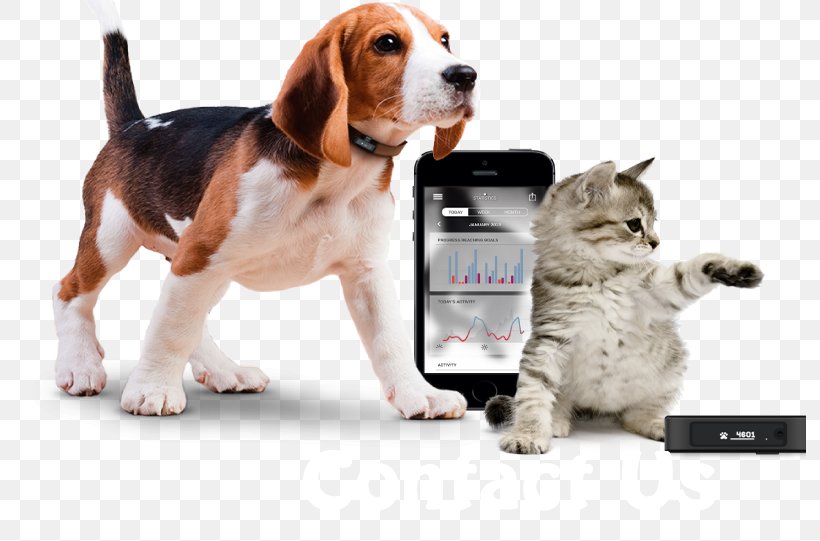 GPS Navigation Systems Dog GPS Tracking Unit Global Positioning System Cat, PNG, 793x541px, Gps Navigation Systems, Activity Tracker, Beagle, Carnivoran, Cat Download Free