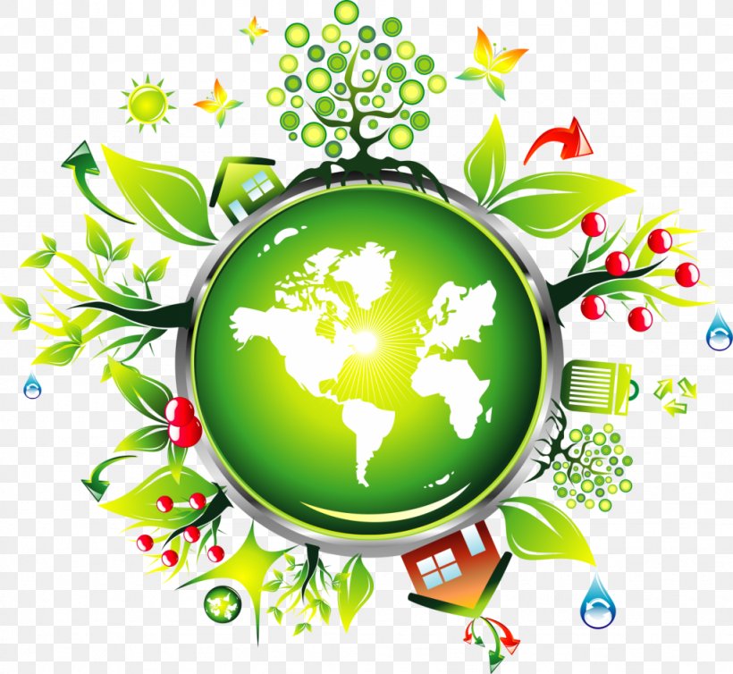 Natural Environment, PNG, 1024x942px, Environmentally Friendly, Branch, Green, Leaf, Natural Environment Download Free
