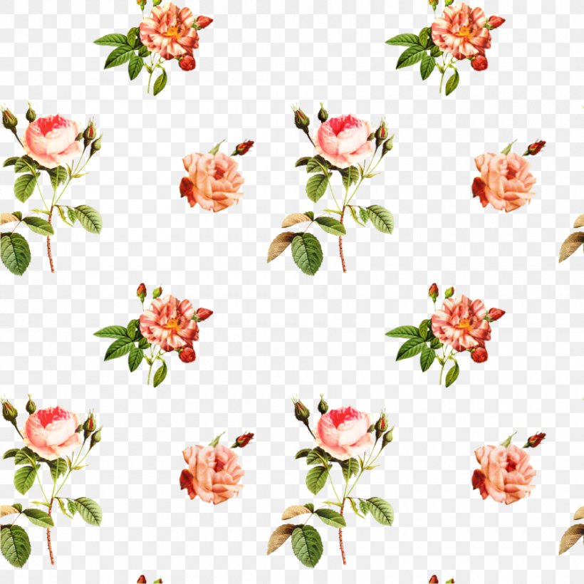 Pink Flowers Background, PNG, 900x900px, Rose, Cut Flowers, Floral Design, Floristry, Flower Download Free