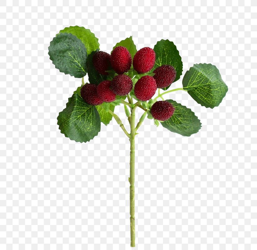 Strawberry Simulation Red Raspberry Plant Fruit Tree, PNG, 800x800px, Strawberry, Flower, Flowerpot, Fragaria, Petal Download Free