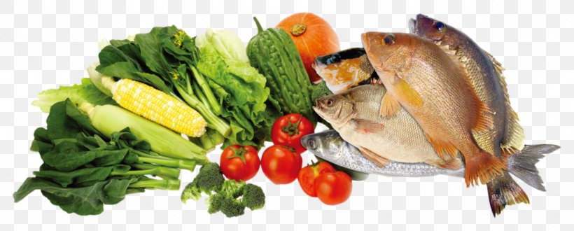 Dietary Fiber Eating Food Nutrition, PNG, 1024x413px, Diet, Alkaline Diet, Animal Source Foods, Cuisine, Diet Food Download Free