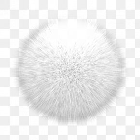 Fur Images, Fur Transparent PNG, Free download