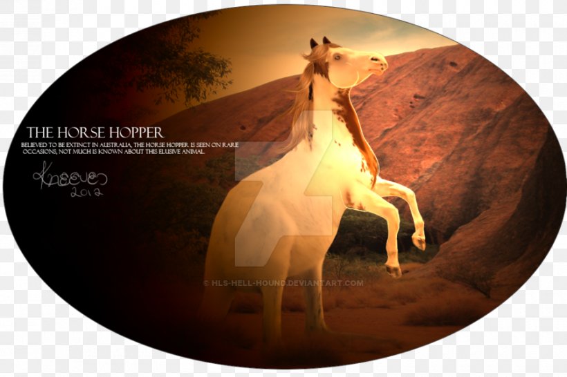 Horse Desktop Wallpaper Stock Photography Computer, PNG, 900x600px, Horse, Computer, Horse Like Mammal, Photography, Stock Photography Download Free