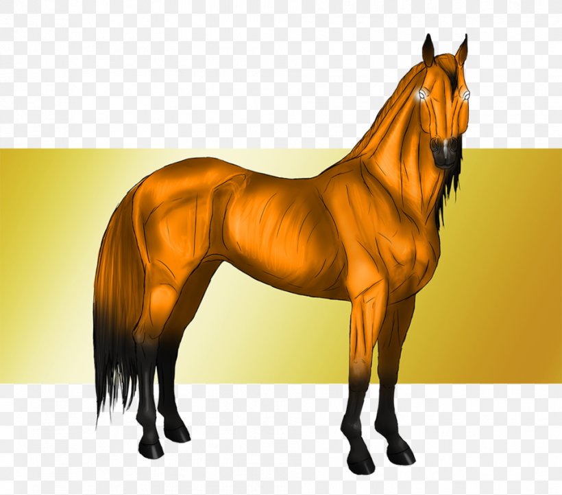 Mane Mustang Stallion Mare Halter, PNG, 953x838px, Mane, Bridle, Halter, Horse, Horse Harness Download Free