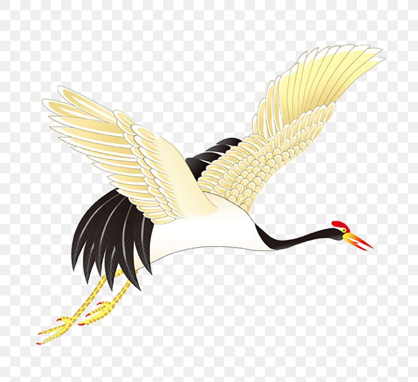 Red-crowned Crane Bird Clip Art Image, PNG, 750x750px, Redcrowned Crane, Animal, Beak, Bird, Black Crowned Crane Download Free
