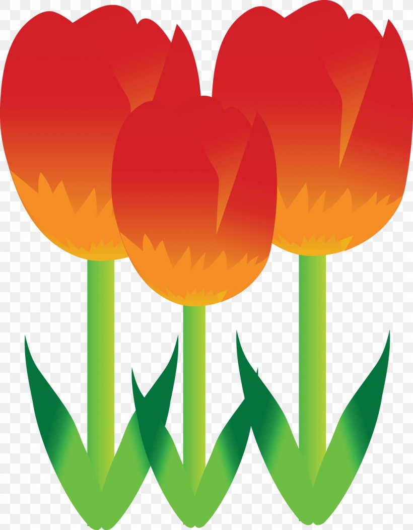 Tulip Flower, PNG, 1049x1346px, Tulip, Art, Flower, Flowering Plant, Heart Download Free