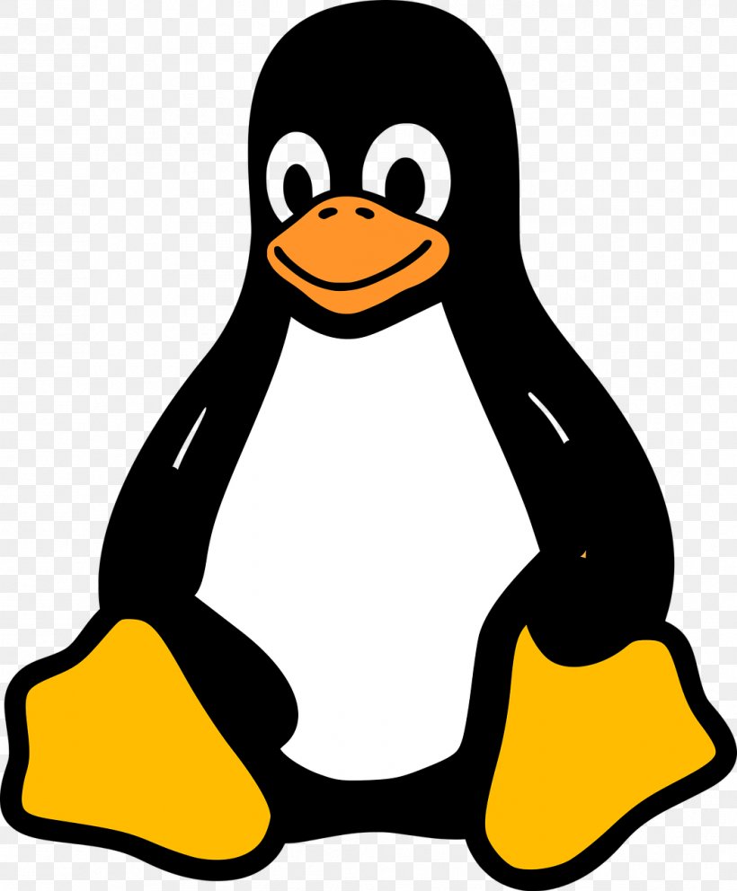 Tux Racer Penguin Linux Kernel, PNG, 1057x1280px, Tux Racer, Artwork, Beak, Bird, Flightless Bird Download Free