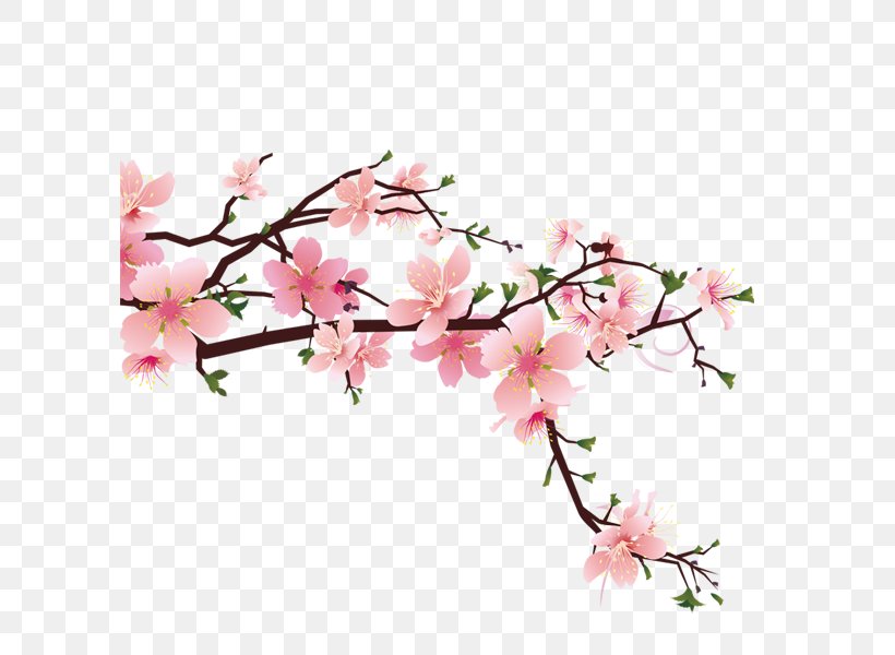 Cherry Blossom Drawing, PNG, 600x600px, Cherry Blossom, Artificial Flower, Blossom, Branch, Drawing Download Free