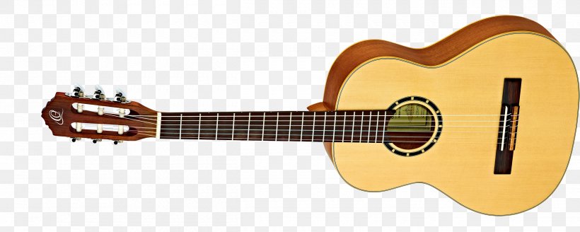 Steel-string Acoustic Guitar Fender Musical Instruments Corporation Electric Guitar, PNG, 2500x1000px, Watercolor, Cartoon, Flower, Frame, Heart Download Free