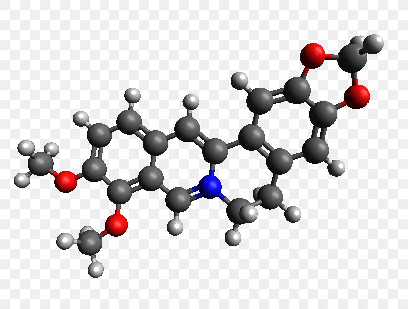 Berberine Dietary Supplement Molecule Barberry Candida Albicans, PNG, 790x621px, Watercolor, Cartoon, Flower, Frame, Heart Download Free