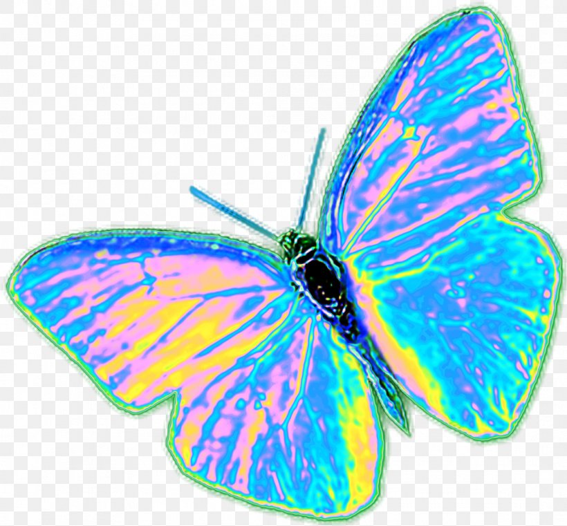 Butterfly Cartoon, PNG, 1085x1008px, Brushfooted Butterflies, Butterflies, Butterfly, Glasswing Butterfly, Gossamerwinged Butterflies Download Free