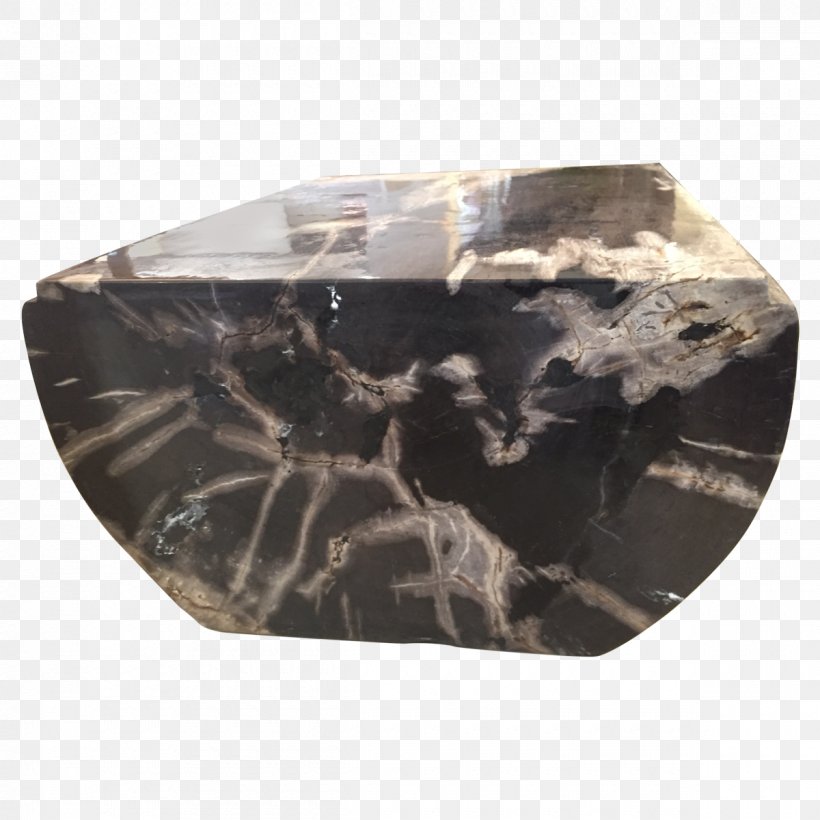 Coffee Tables Petrified Wood, PNG, 1200x1200px, Table, Art, Coffee Tables, Designer, Furniture Download Free