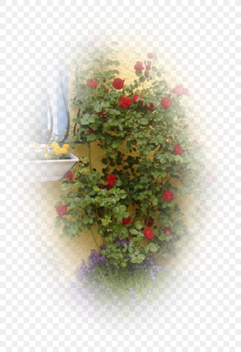 Floral Design Desktop Wallpaper Rose Family Petal, PNG, 800x1198px, Floral Design, Computer, Flora, Flower, Flower Arranging Download Free
