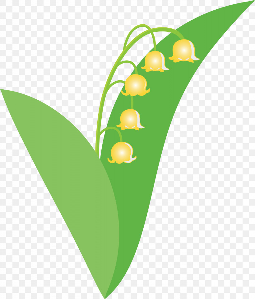 Lily Bell Flower, PNG, 2561x3000px, Lily Bell, Flower, Green, Leaf, Lily Of The Valley Download Free