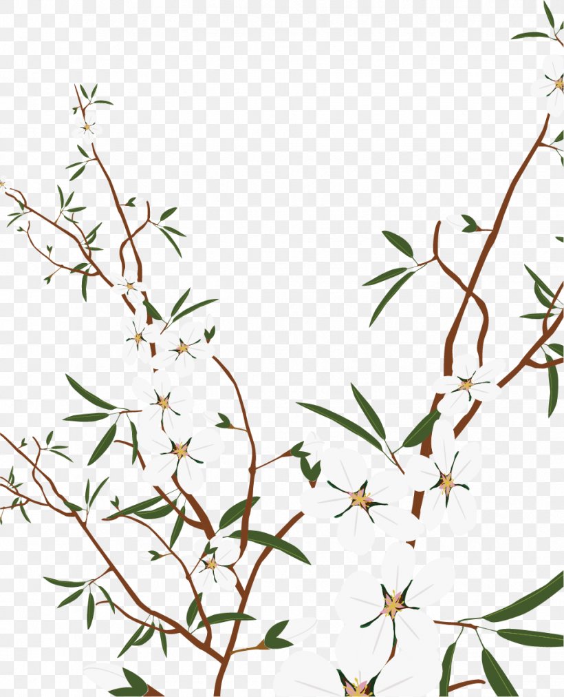 Plum Clip Art, PNG, 978x1208px, Plum, Area, Branch, Designer, Flora Download Free