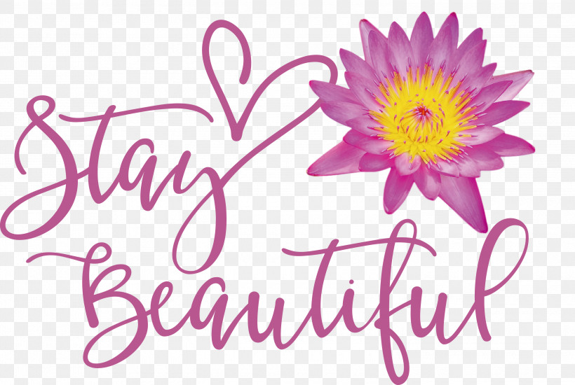 Stay Beautiful Fashion, PNG, 3000x2015px, Stay Beautiful, Biology, Chrysanthemum, Cut Flowers, Fashion Download Free