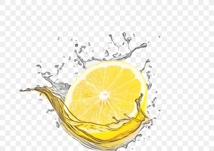Citrus Lemon Yellow Fruit Liquid, PNG, 960x678px, Watercolor, Citrus, Drink, Fruit, Lemon Download Free