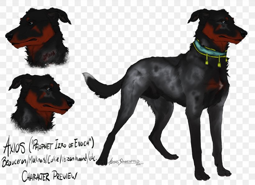 Manchester Terrier Beauceron Dog Breed Razas Nativas Vulnerables, PNG, 5496x4008px, Manchester Terrier, Beauceron, Breed, Carnivoran, Dog Download Free