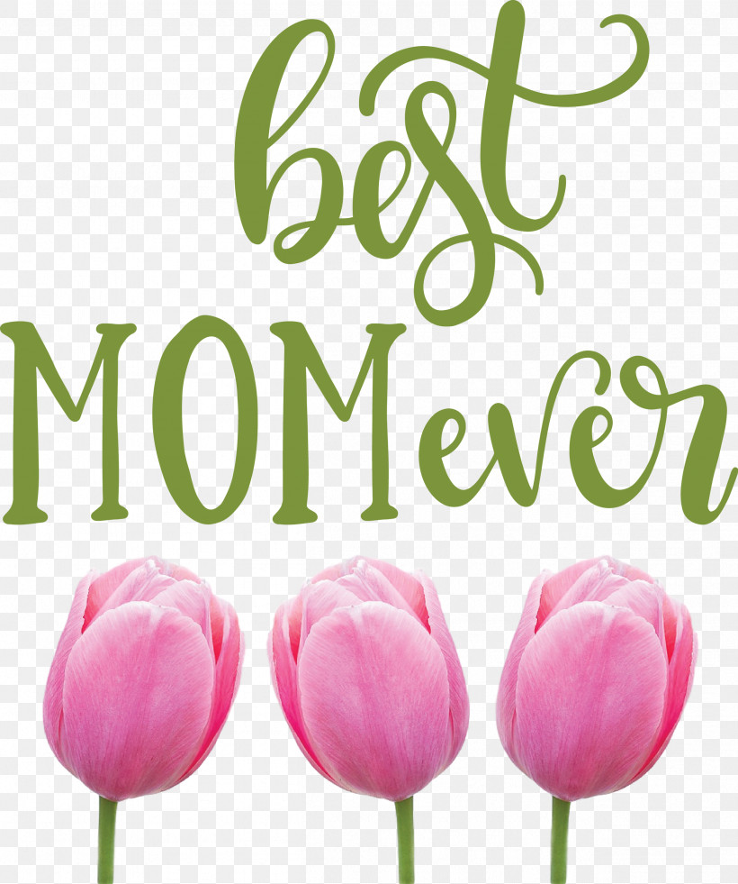 Mothers Day Best Mom Ever Mothers Day Quote, PNG, 2507x3000px, Mothers Day, Best Mom Ever, Cricut, Cut Flowers, Flower Download Free