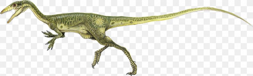 Procompsognathus Brachiosaurus Dinosaur Jurassic Park, PNG, 1042x315px, Compsognathus, Animal Figure, Brachiosaurus, Dinosaur, Isla Sorna Download Free